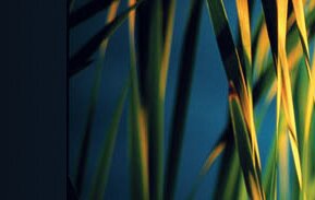 Water Saver Technologies is an Eco-Friendly Company