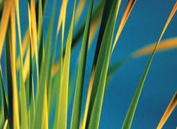 Water Saving Products and Green Building Products
